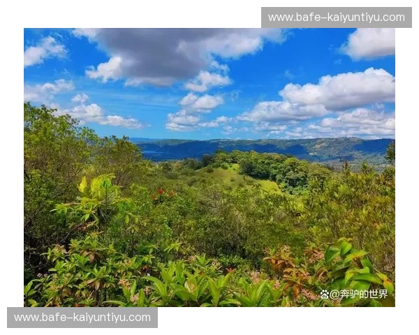 北纬59度的极光与赤道边缘的雨林：瑞典与哥斯达黎加的灵魂博弈